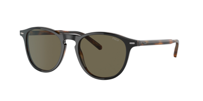 Polo Ralph Lauren Man Sunglass Ph4181 In Brown