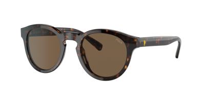 Polo Ralph Lauren Man Sunglasses Ph4184 In Brown