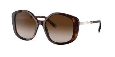 Tiffany & Co Women's Sunglasses, Tf4192 In Brown Gradient
