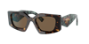 Prada Woman Sunglasses Pr 15ys In Dark Brown