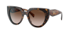 Prada Brown Gradient Cat Eye Ladies Sunglasses Pr 14ws 2au6s1 52 In Brown Gradient