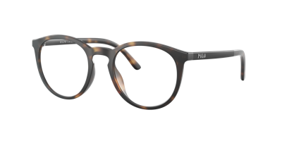 Polo Ralph Lauren Man Sunglasses Ph4183u In Clear