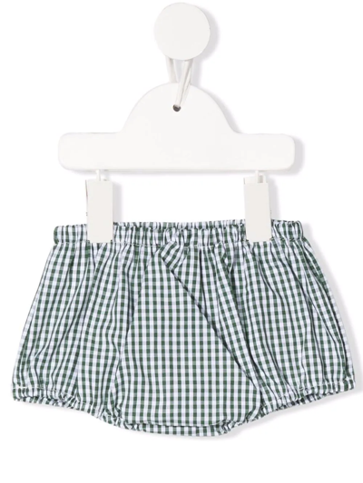 La Stupenderia Babies' Gingham-print Flared Shorts In Green