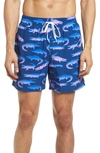 Chubbies 5.5-inch Swim Trunks In The Glader Gators