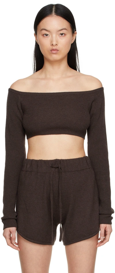 Lisa Yang Ssense Exclusive Brown Gina Sweater In Chocolate
