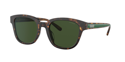 Coach Man Sunglasses Hc8340u C8003 In Dark Green Solid