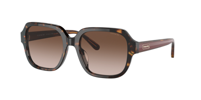 Coach Woman Sunglasses Hc8335u C7989 In Brown Gradient