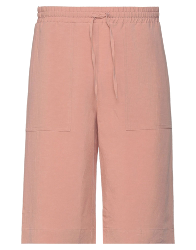 Roberto Collina Shorts & Bermuda Shorts In Pink
