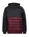 Vans Down Jackets In Maroon