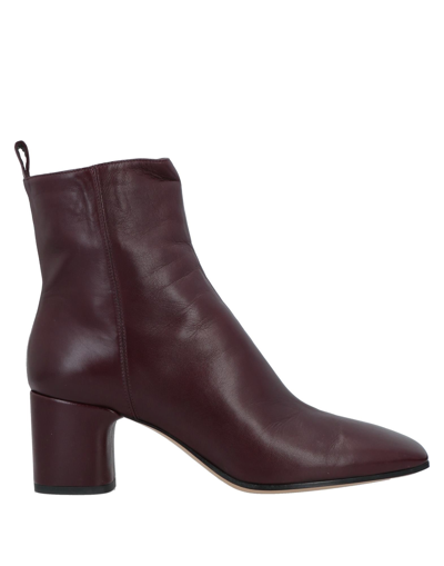 Pomme D'or Ankle Boots In Maroon