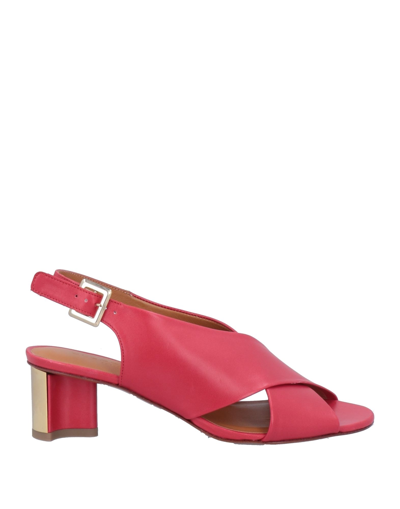 Clergerie Sandals In Red