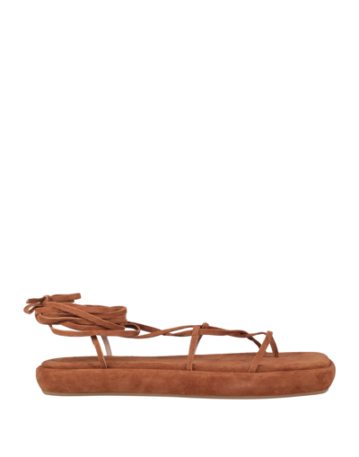 Ilio Smeraldo Toe Strap Sandals In Brown