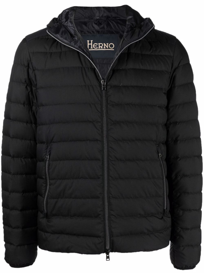 Herno Hooded Padded Jacket In Black