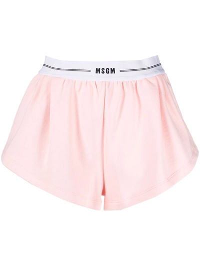 Msgm Short Logo Band Shorts In Pink