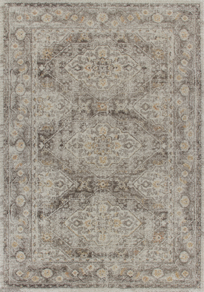 Addison Rugs Addison Tobin Distressed Palace Ivory 9'6" X 13'2" Area Rug In Brown