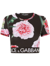 Dolce & Gabbana Floral-print Cropped Logo Band T-shirt In Black