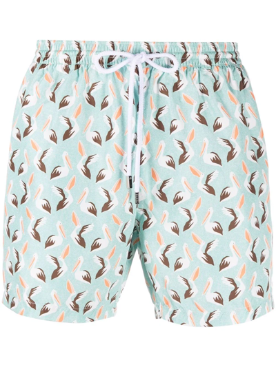 Barba Pelican-print Swim Shorts In Grün