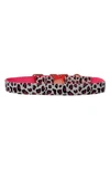 DOGS OF GLAMOUR PARDO PINK DOG COLLAR
