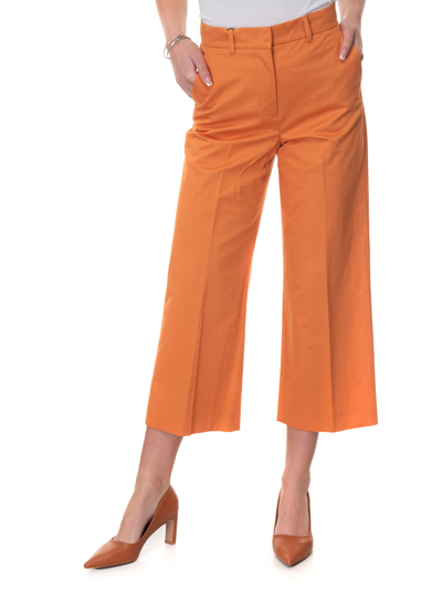 Max Mara Zircone Cropped Trousers Orange Cotton Woman