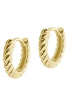 Electric Picks Hyde Huggie Earrings In Gold