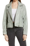 Blanknyc Faux Leather Crop Moto Jacket In Play Act
