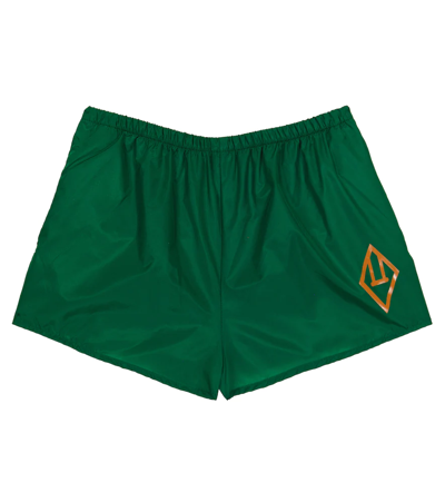 The Animals Observatory Kids' Puppy Swim Trunks In Green