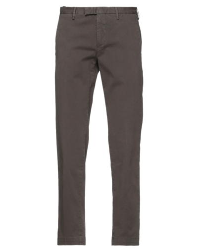 Pt Torino Pants In Brown