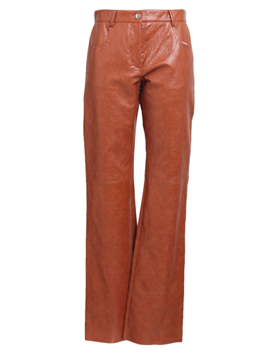 Msgm Pants In Brown