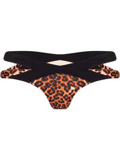 Agent Provocateur Mazzy Leopard Print Bikini Bottoms In Brown
