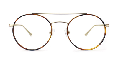 Taylor Morris Eyewear Sw9 C4 Glasses In Brown