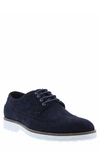 Zanzara Tiki Brogue Derby In Navy