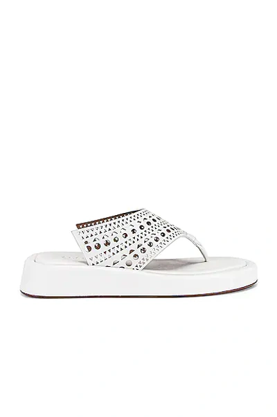 Alaïa Vienne Thong Platform Sandals In Blanc Casse