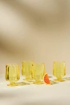 Anthropologie Set Of 4 Lucia Goblet Wine Glasses In Yellow