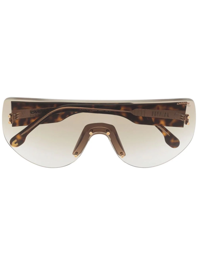 Carrera Oversized Sunglasses In Brown