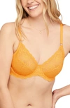 MONTELLE INTIMATES MONTELLE INTIMATE MUSE FULL CUP LACE BRA