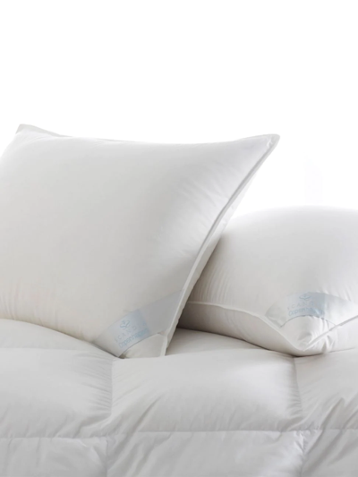 Scandia Home Copenhagen Firm Down Pillow In White