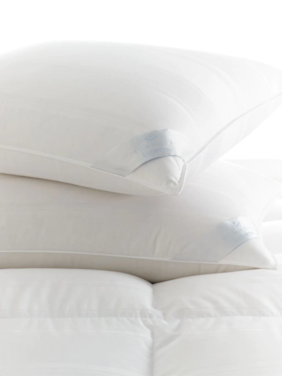 Scandia Home Lucerne Firm Down Pillow, Standard In White