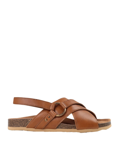 See By Chloé Sandals In Brown