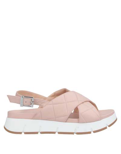 Baldinini Sandals In Pink