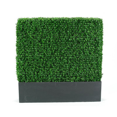Frontgate Outdoor Boxwood Hedge