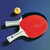 FRONTGATE SET OF 2  OUTDOOR PING PONG PADDLES