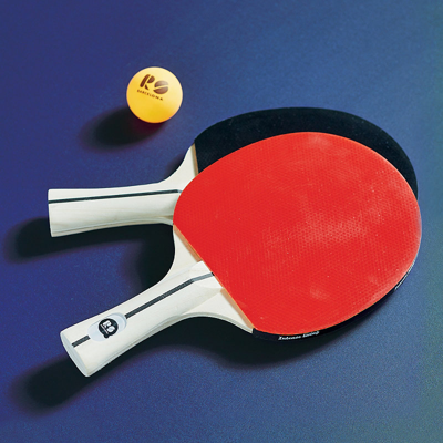 Frontgate Set Of 2  Outdoor Ping Pong Paddles