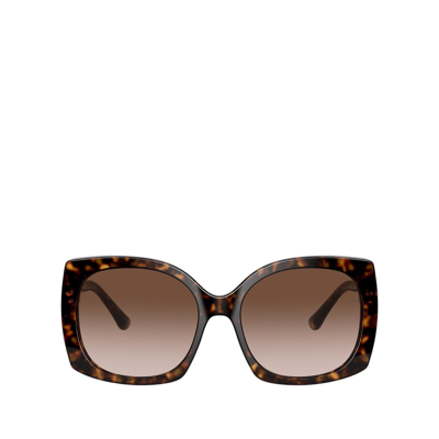 Dolce & Gabbana Dg4385 Havana Female Sunglasses