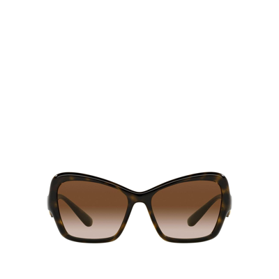 Dolce & Gabbana Dg6153 Havana Female Sunglasses