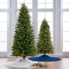 Frontgate Douglas Fir Slim Profile Tree