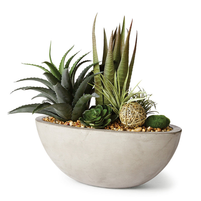 Frontgate Agava, Aloe And Echeveria In Cement Bowl