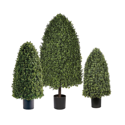 Frontgate Rounded Cone Outdoor Boxwood Topiary