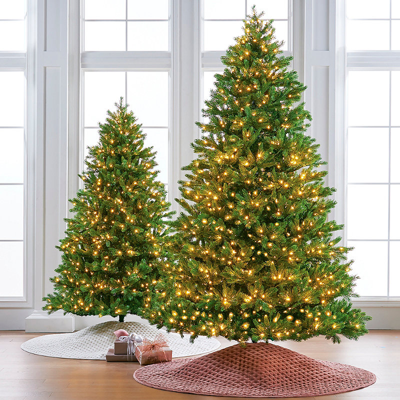 Frontgate Balsam Fir Full Profile Tree