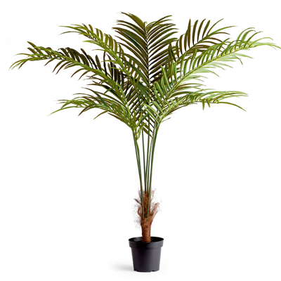 Frontgate 75" Outdoor Phoenix Palm Tree