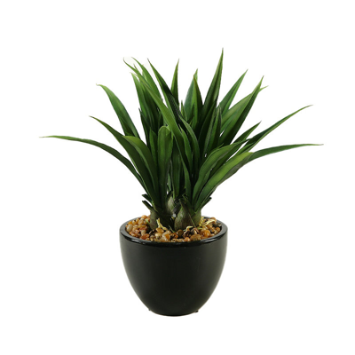 Frontgate Green Lily Grass In Ceramic Bowl
